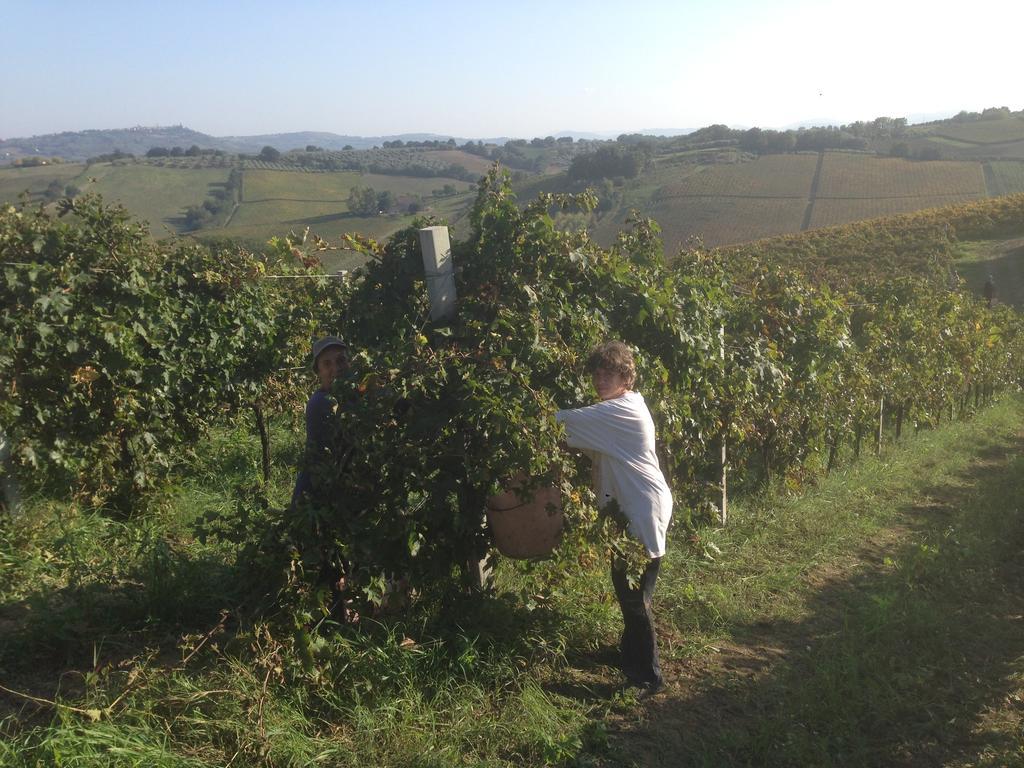 Séjour à la campagne San Giacomo